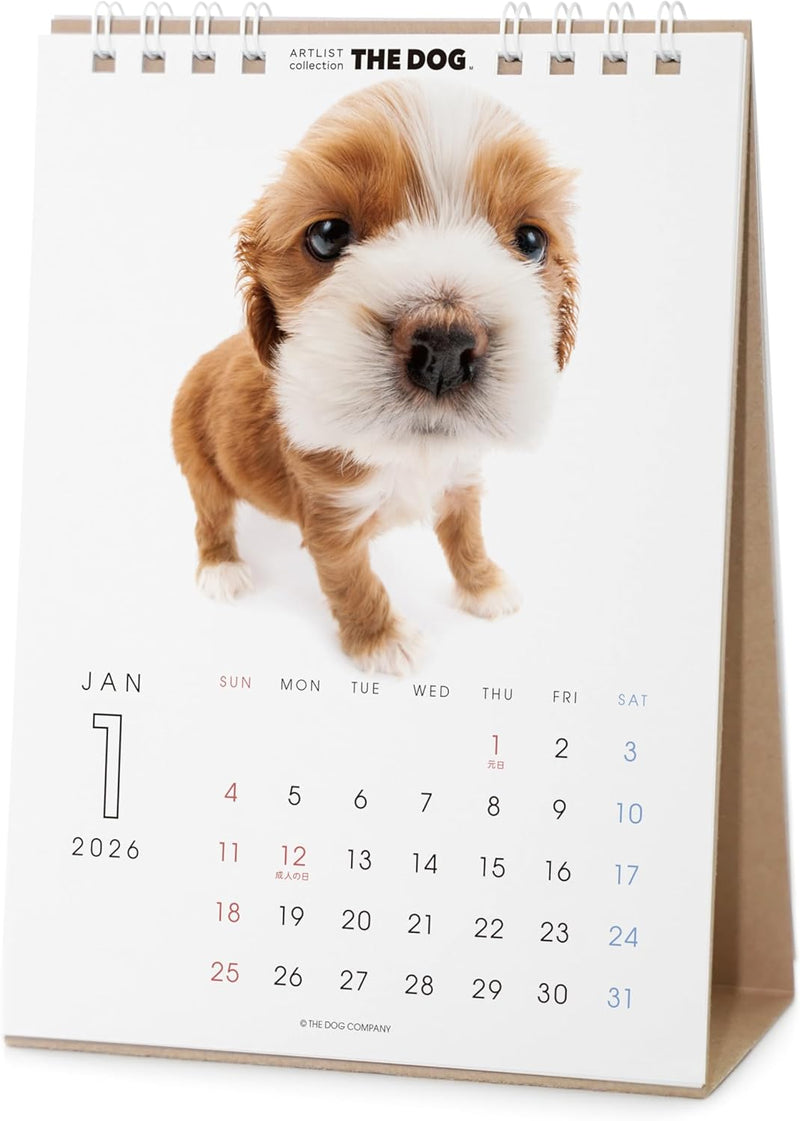 THE DOG 2026 Desk Calendar [American Cocker Spaniel]