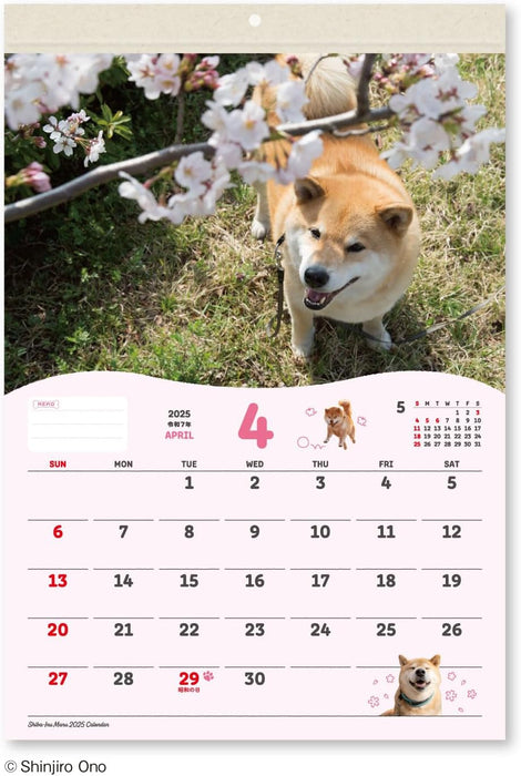 New Japan Calendar 2025 Wall Calendar Shiba Inu Maru Small NK4008