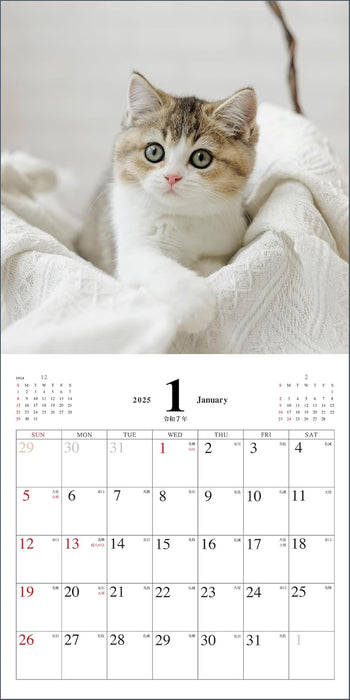 Koneko no Kimochi Calendar 2025 (Monthly/Wall Calendar)