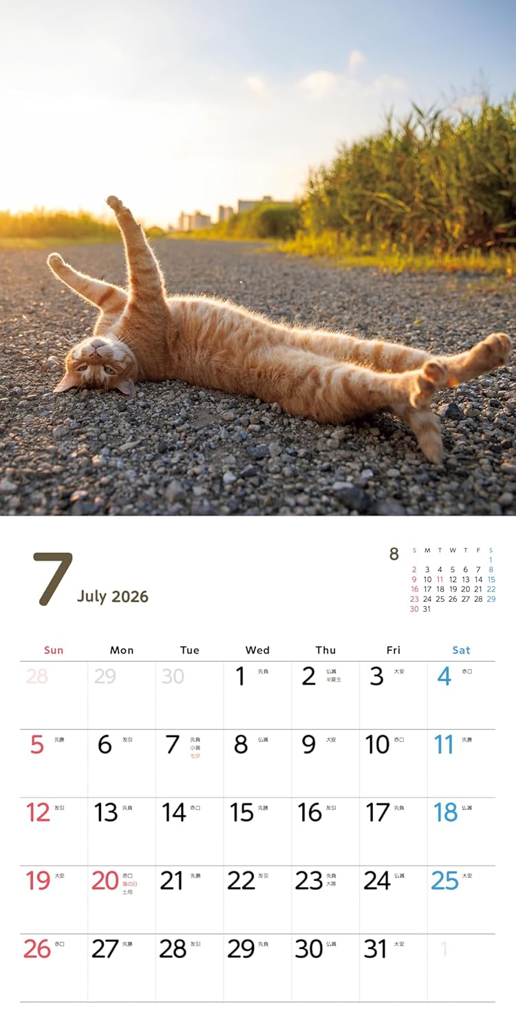 Nobi Neko Calendar 2026