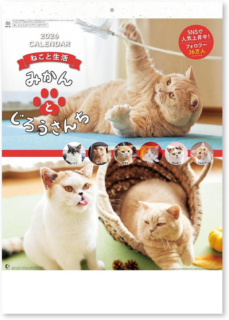 New Japan Calendar 2026 Wall Calendar Life with Cats Mikan to Jirousan Chi NK33