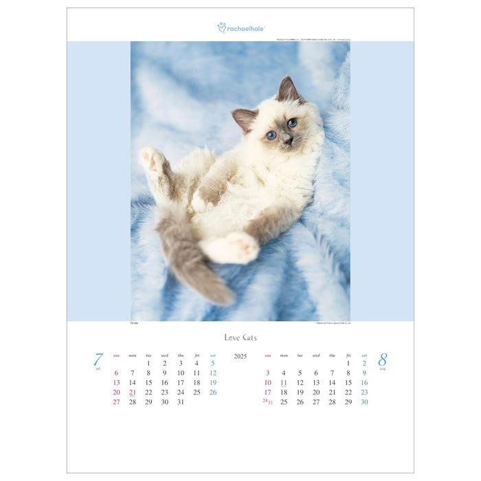 Todan 2025 Wall Calendar Love Cat - Rachel Hale Works - 53.5 x 38cm TD-934