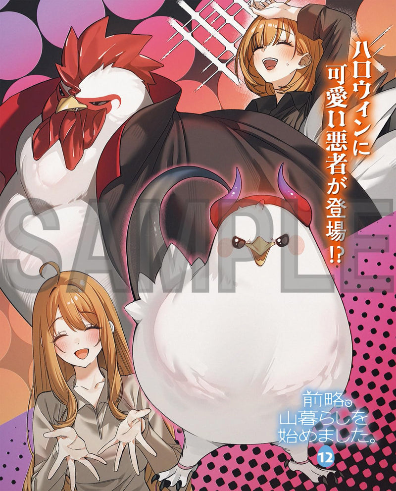 Zenryaku, Yamagurashi wo Hajimemashita. 12 (Light Novel)