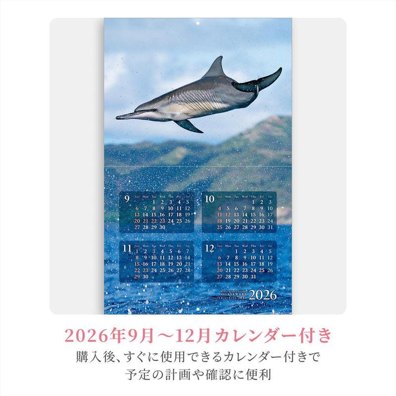 Shashin Koubou Calendar 'Great Oceanic Islands OGASAWARA' 2027 Wall Calendar (with Paper Holder)