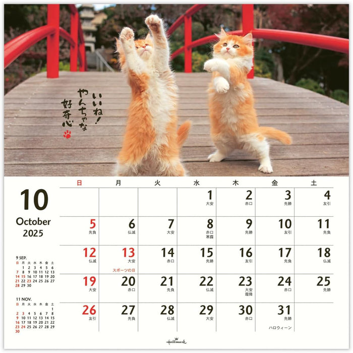 Hallmark 2025 Wall Calendar Homenyanko Large 834-630