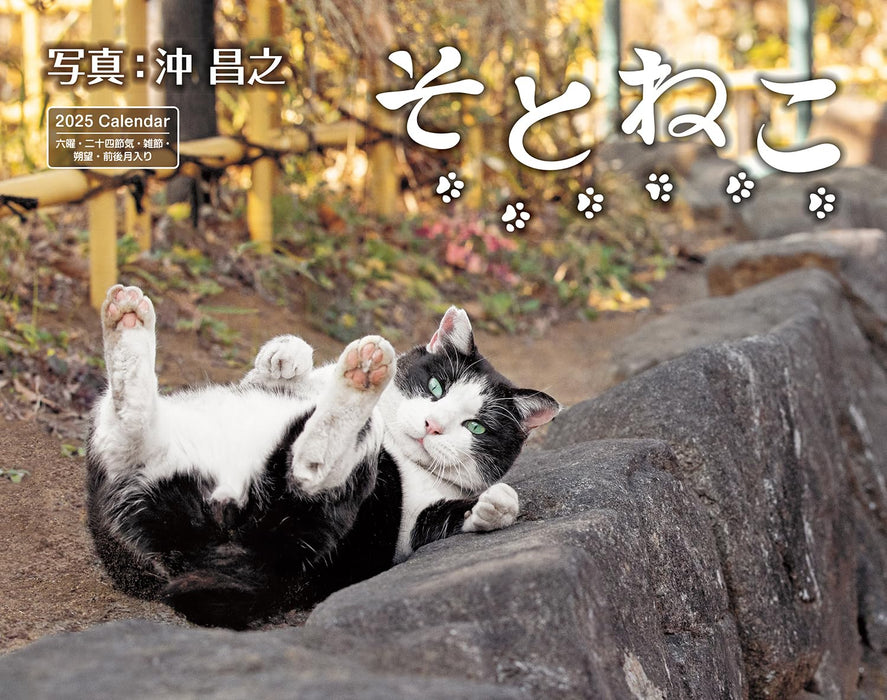 Calendar 2025 Soto Neko (Monthly/Wall Calendar) (Impress Calendar 2025)