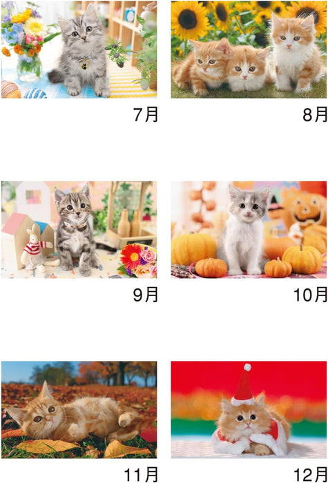 New Japan Calendar 2025 Wall Calendar Thank you! Cat NK455