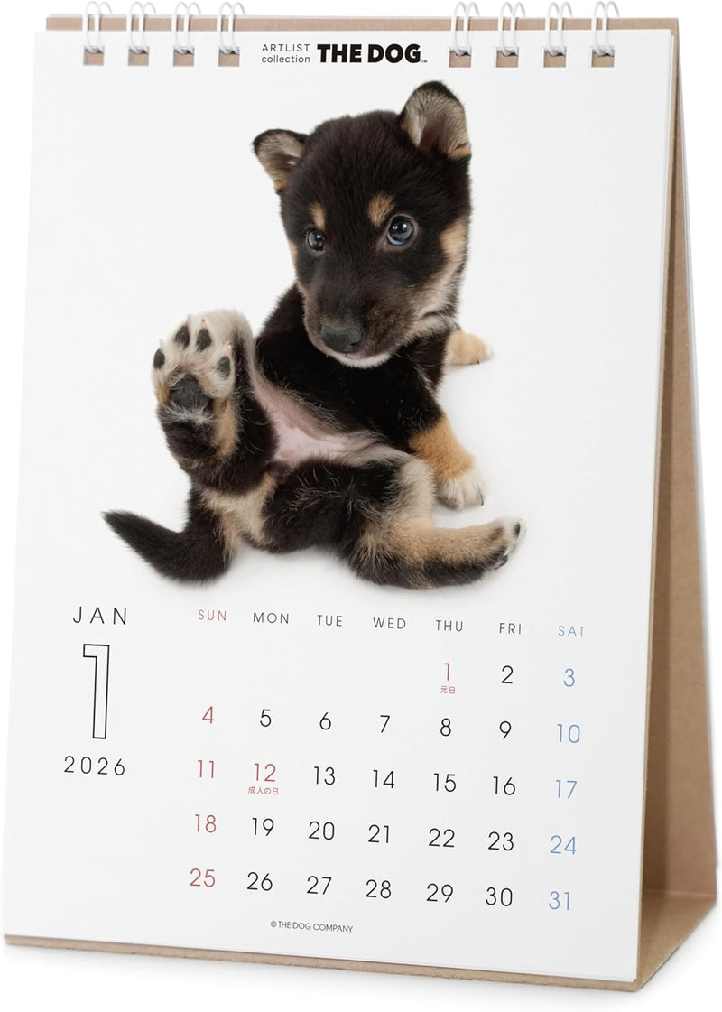 THE DOG 2026 Desk Calendar [Shiba]
