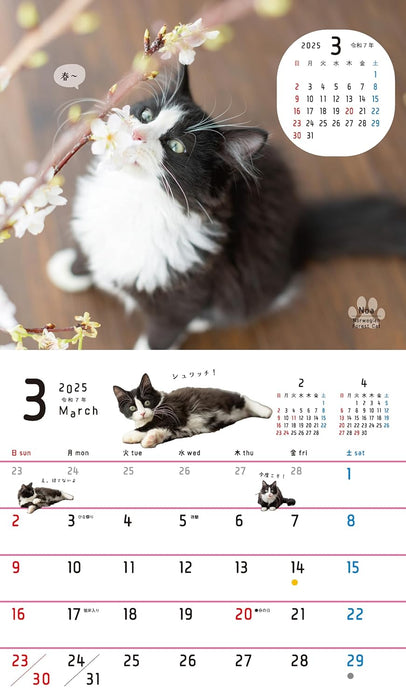 Orange Page Neko Nagomi. Desk Calendar 2025