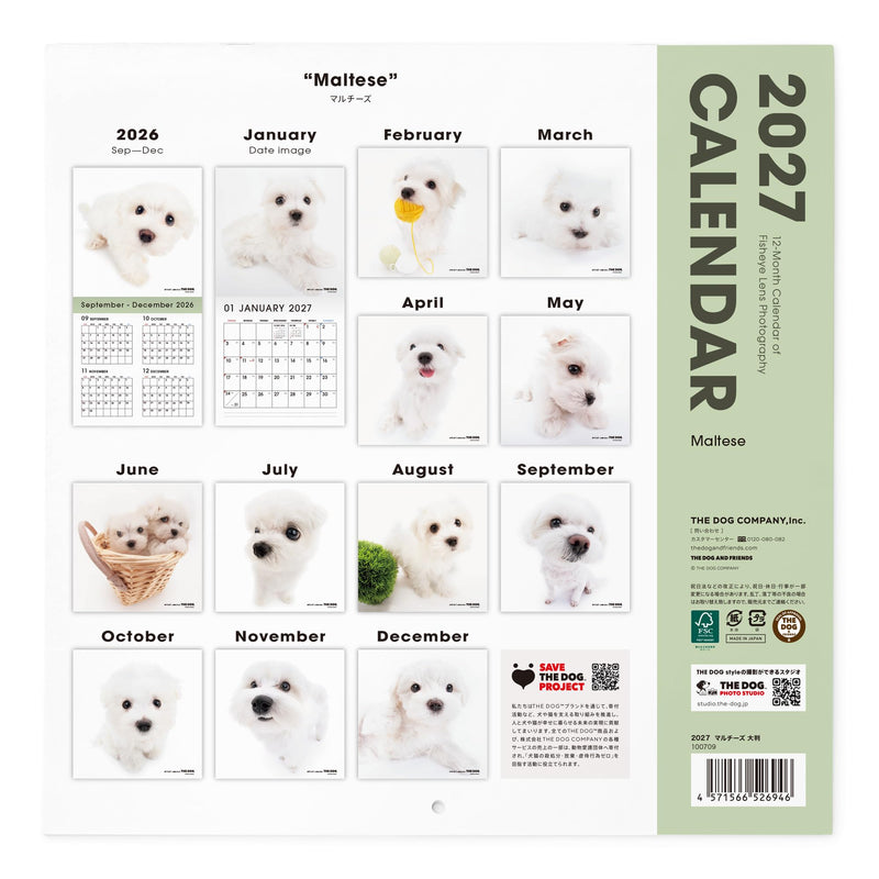 Eco Wall & Desk Calendar 2027 Modifed B7 E161