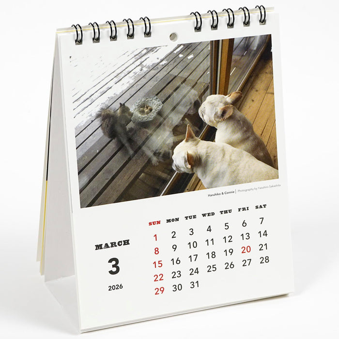 Greeting Life 2026 Desk Calendar NATSUHIKO FAMILY C-1690-NA