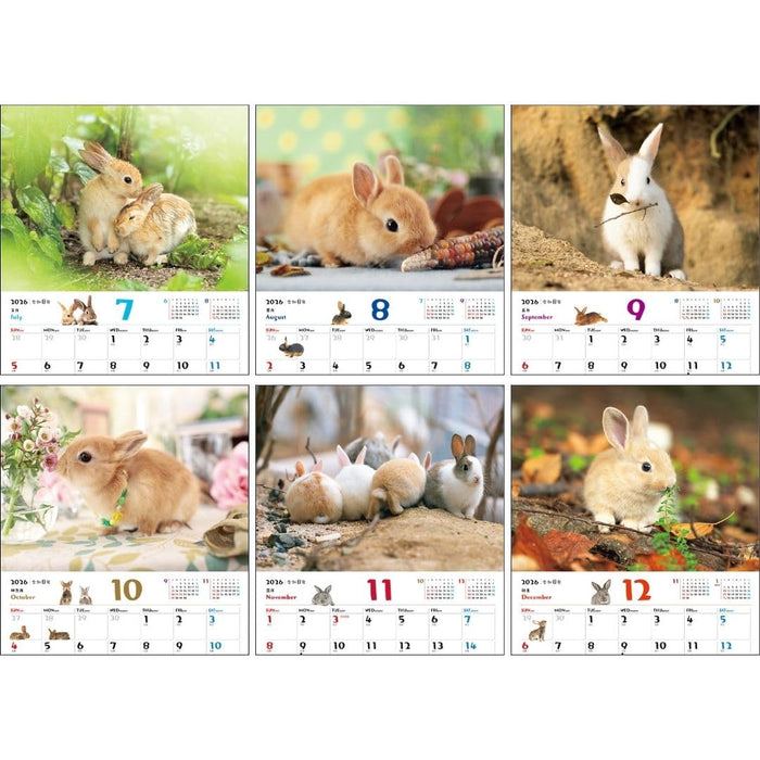 JTB Calendar Fuwa Fuwa Usagi 2026 Wall Calendar