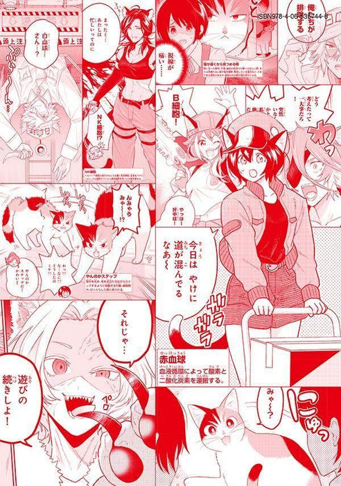 Cells at Work! (Hataraku Saibou) Neko 2