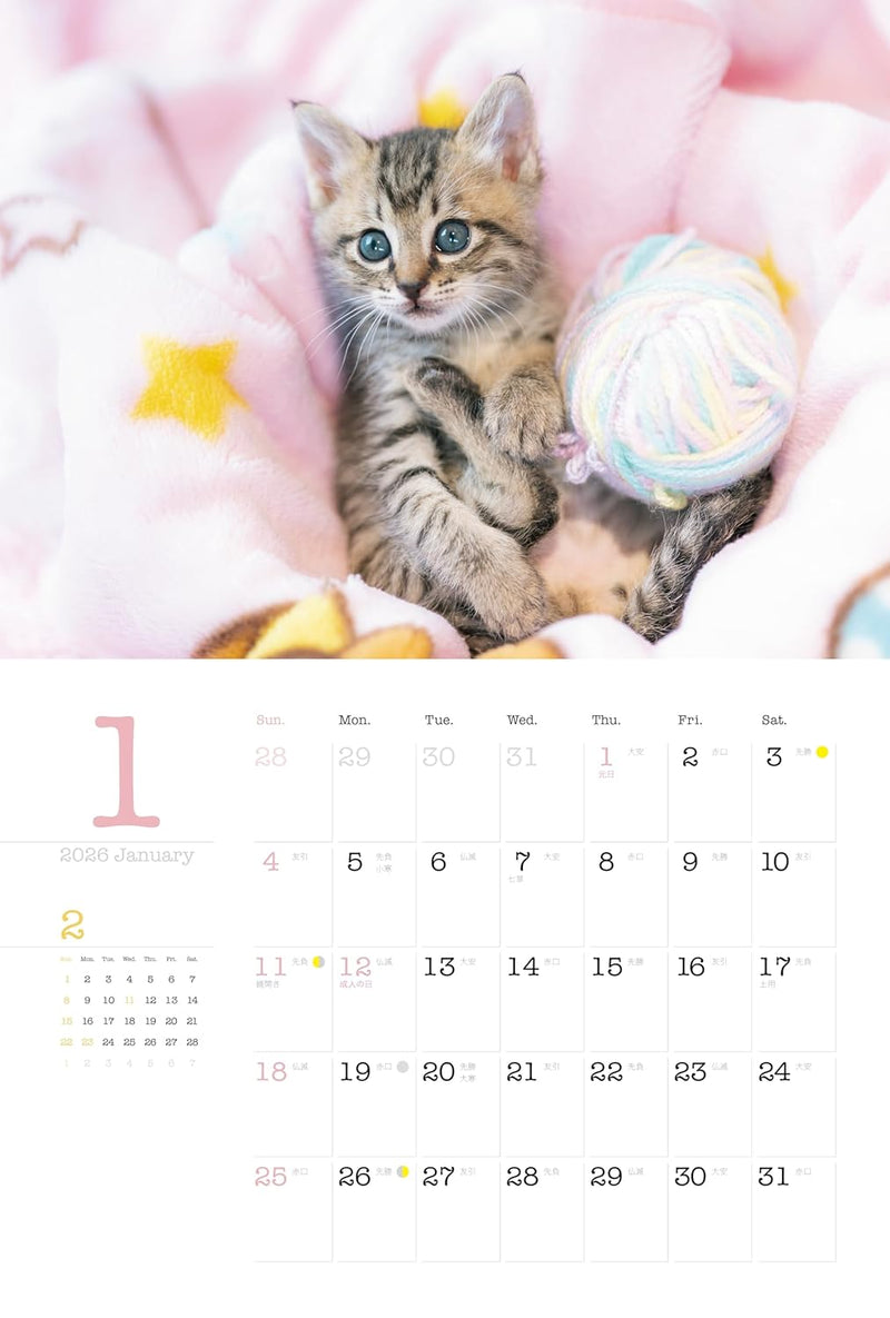 Living with Kittens: 2026 Charity Calendar for Rescue Cats (Monthly/Wall Calendar) (Yama-kei Calendar 2026)