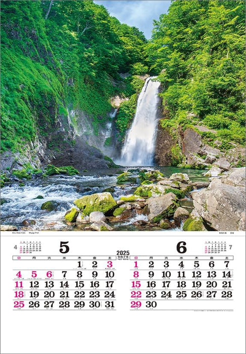 Todan 2025 Wall Calendar Japan (Film) CL25-1077