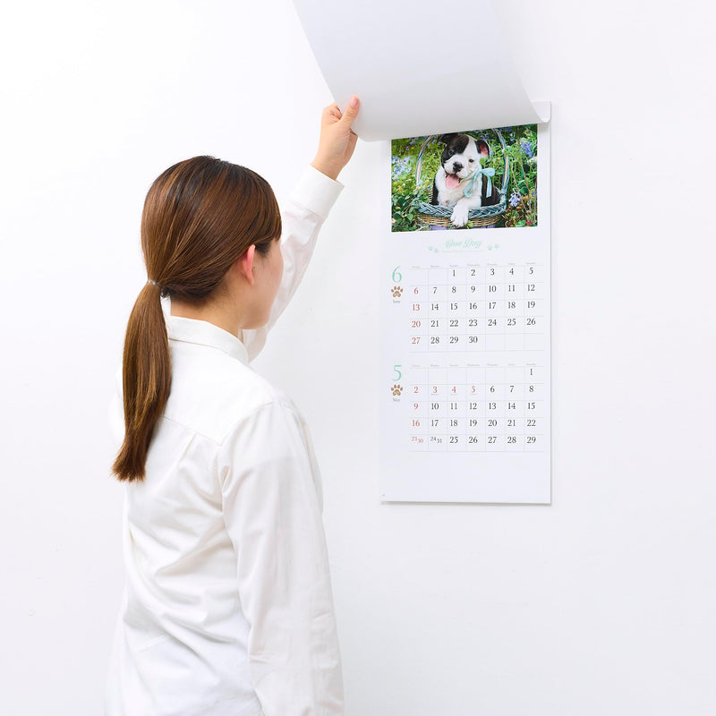 New Japan Calendar 2027 Wall Calendar One Day 2-Month Type NK904