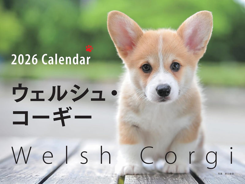 2026 Welsh Corgi Calendar Wide Edition (Seibundo-shinkosha Calendar)