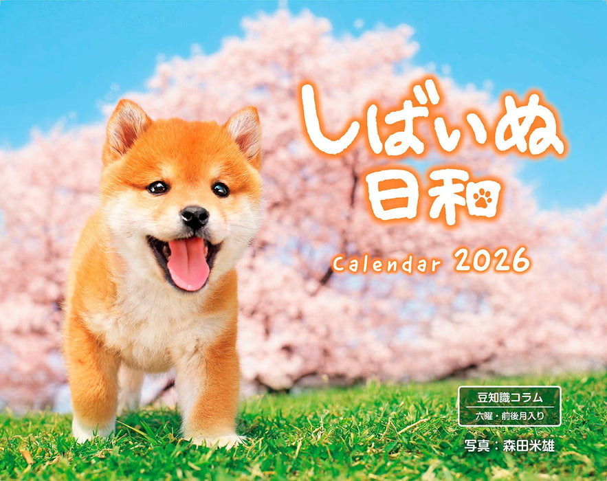 Calendar 2026 Shiba Inu Biyori (Monthly/Wall Calendar) (Impress Calendar 2026)
