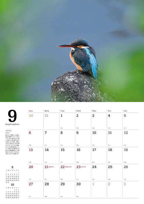 Common Wild Birds Calendar 2026 (Wall Hanging)