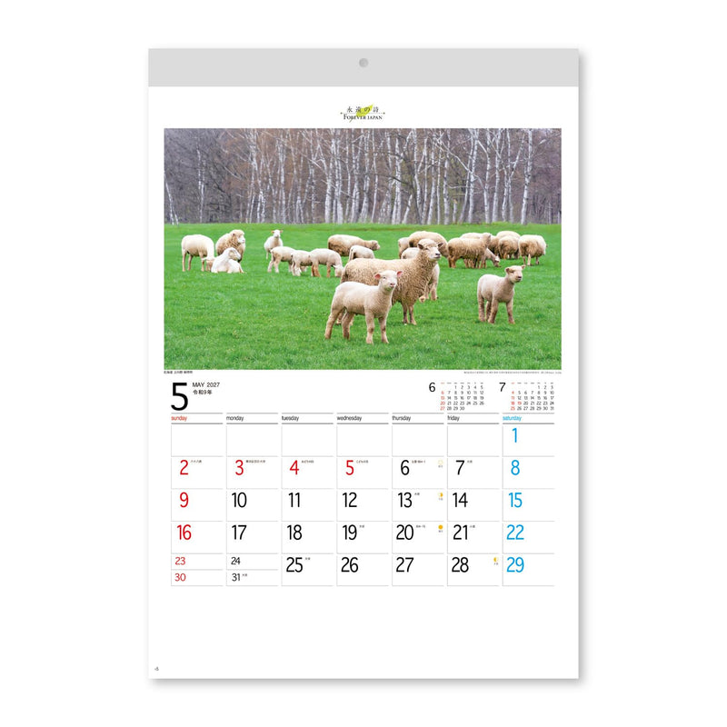 New Japan Calendar 2027 Wall Calendar Forever Japan NK142 610x425mm