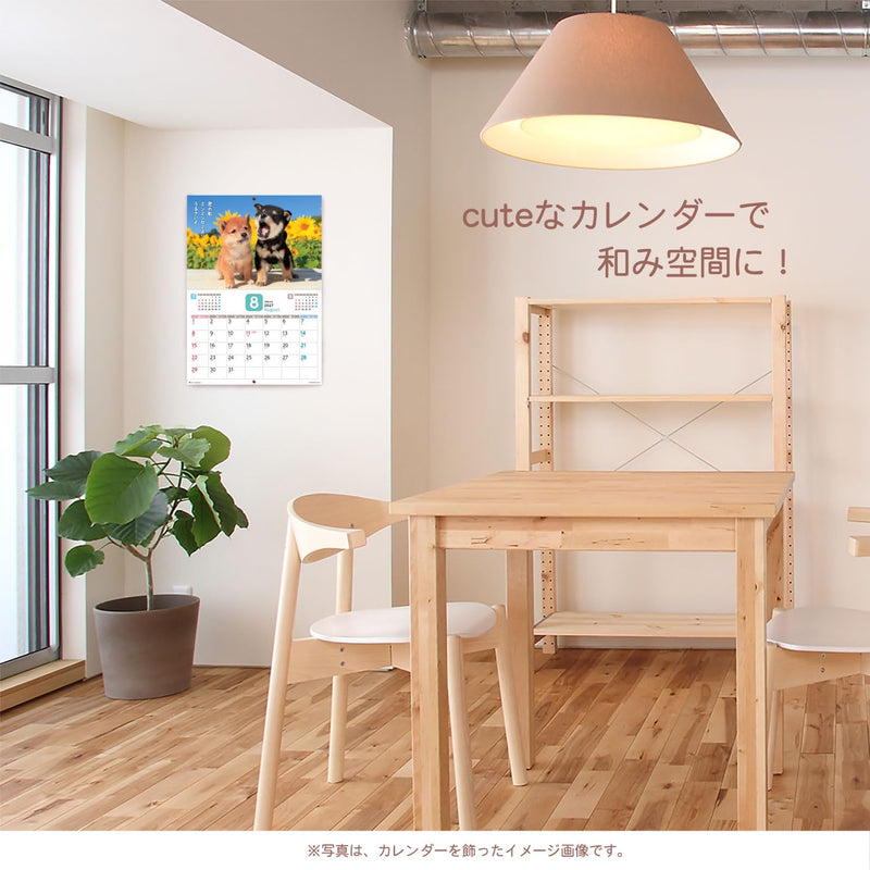 Active Corporation 2027 Wall Calendar Datte Shiba Damono. 27ACL-64