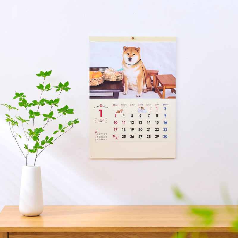 New Japan Calendar 2027 Wall Calendar Walk with Shiba Inu Maru Calendar NK35
