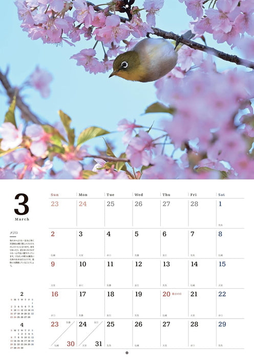 Common Wild Birds Calendar 2025 (Wall Hanging)