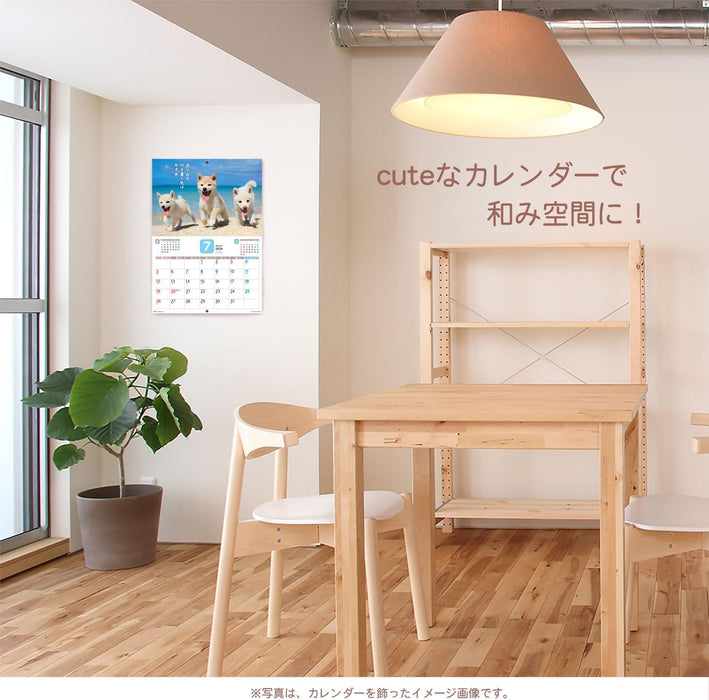 Active Corporation 2026 Wall Calendar Datte Shiba Damono. 26ACL-64