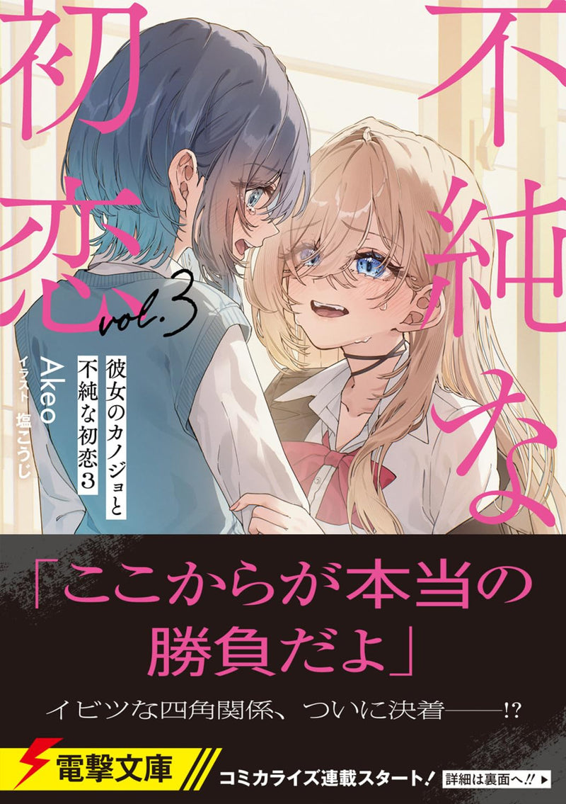 Kanojo no Kanojo to Fujun na Hatsukoi 3 (Light Novel)