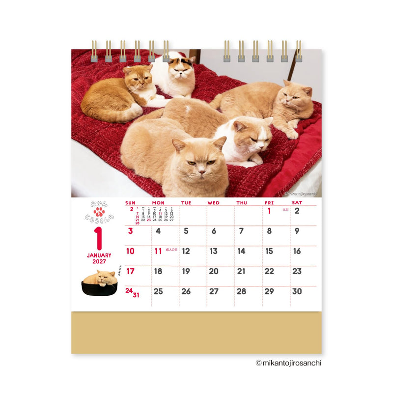 Eco Wall Calendar 2027 B4 (Monday Start) E72