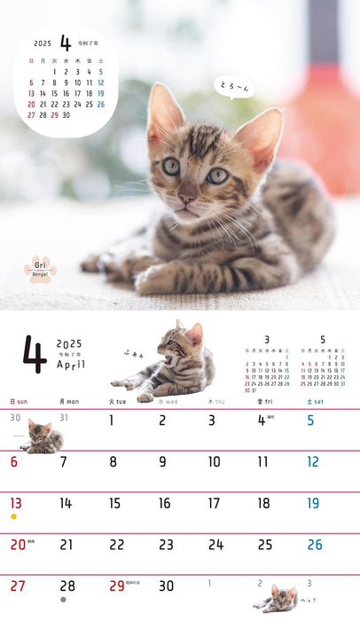 Orange Page Neko Nagomi. Desk Calendar 2025