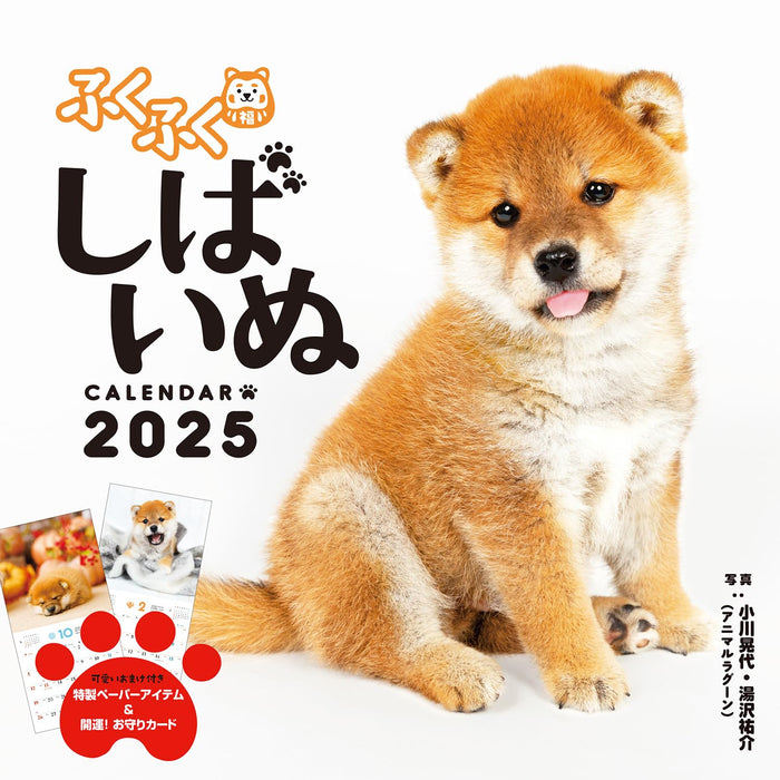 Calendar 2025 Fukufuku Shibainu (Monthly/Wall Calendar) (Impress Calendar 2025)