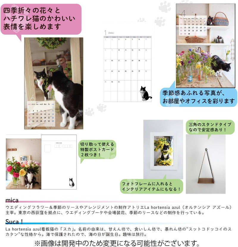 Flower Shop's Cat Suca Desk Calendar 2025 CK-C25-04