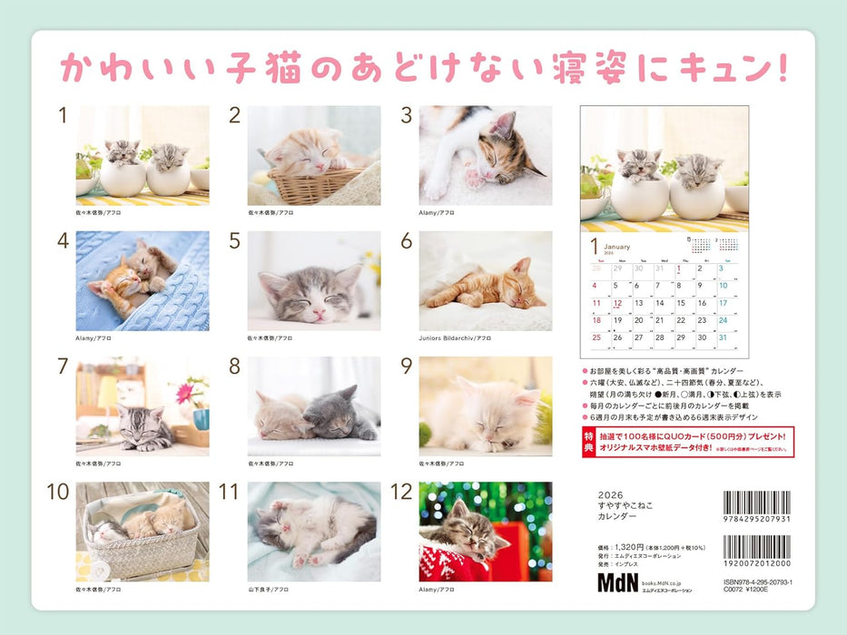 2026 Sleepy Kittens Calendar