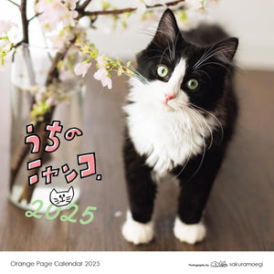 Orange Page Uchi no Nyanko. 2025 Wall Calendar