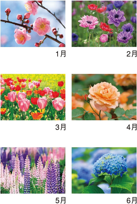 New Japan Calendar 2025 Wall Calendar Flower Language NK139 610x425mm