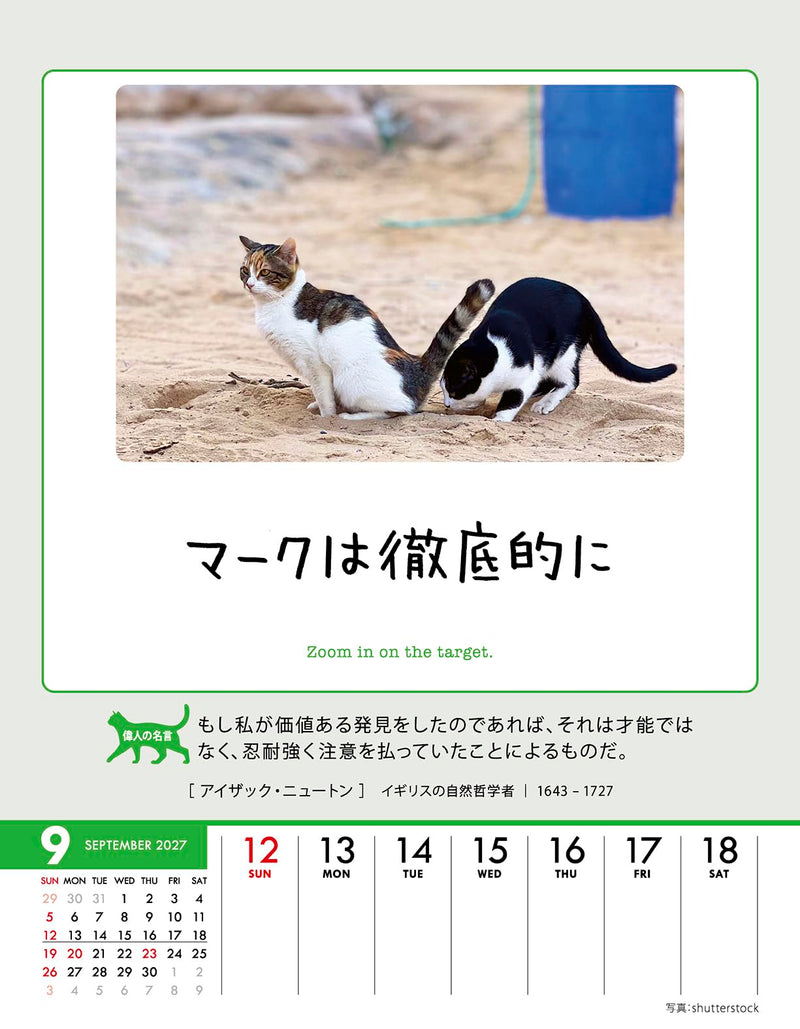 Try-X Life Works Itself Out! 2027 Desk Wall Calendar 27CL-384 18 x 14cm