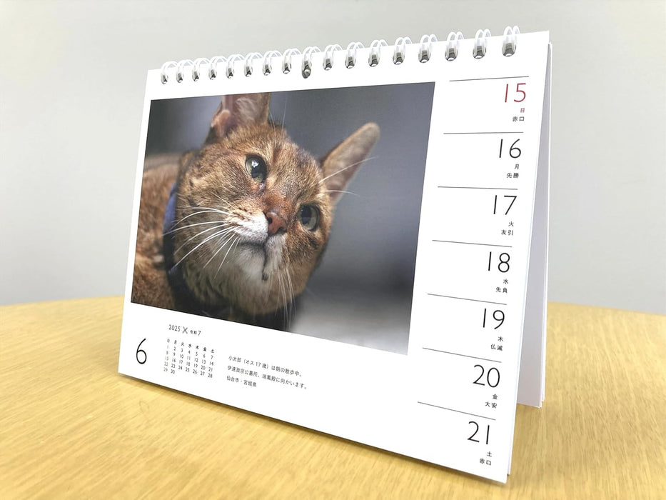 Calendar 2025 Mitsuaki Iwago x Cat (Weekly/Desk Ring Calendar) (Yama-kei Calendar 2025)