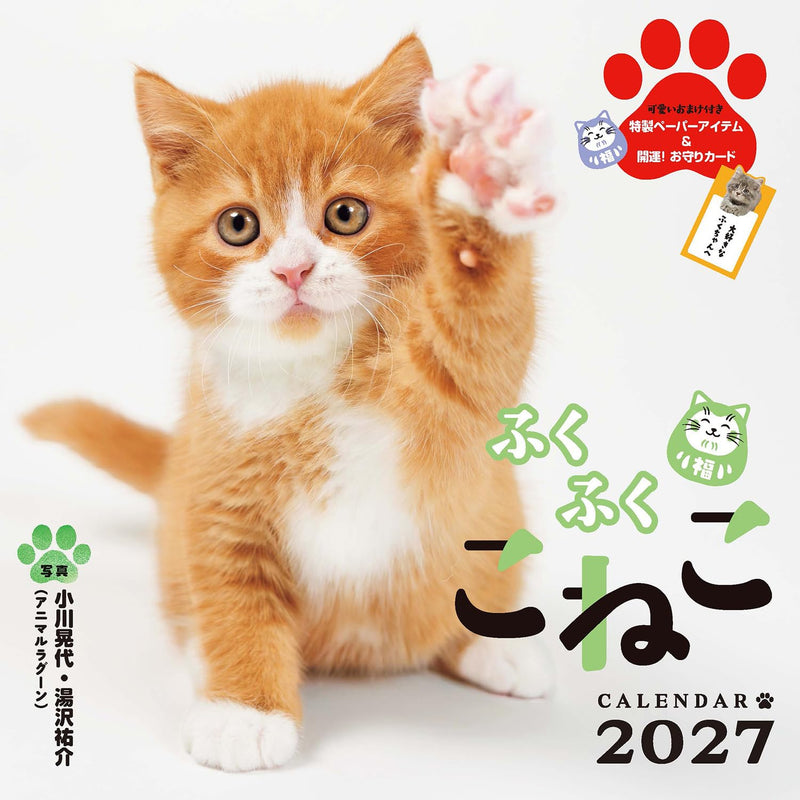 King Corporation 2027 Desk Calendar Eco Balloon 160 x 180mm KC10001