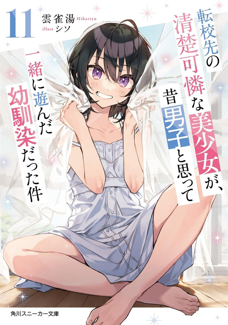 Tenkou-saki no Seiso Karen na Bishoujo ga, Mukashi Danshi to Omotte Issho ni Asonda Osananajimi datta Ken 11 (Light Novel)