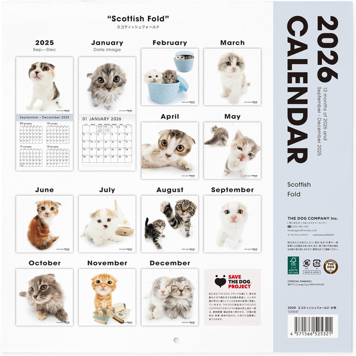 THE CAT 2026 Wall Calendar Large Size [Scottish Fold]