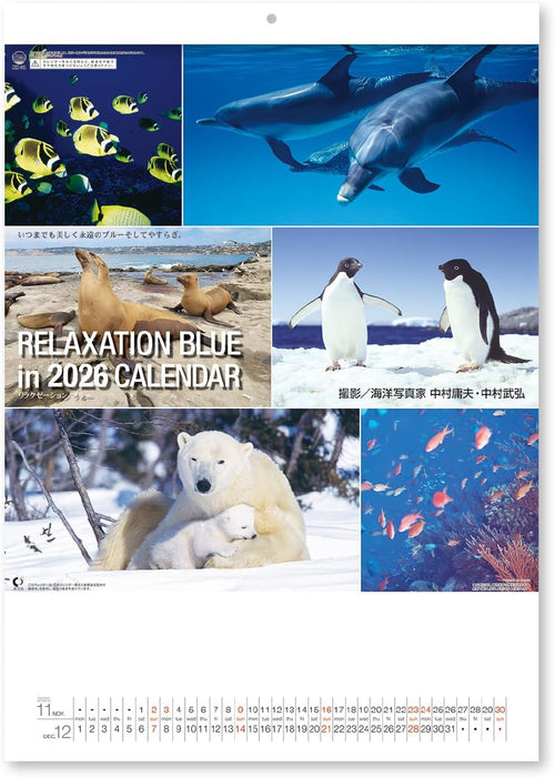 New Japan Calendar 2026 Wall Calendar Relaxation Blue NK32