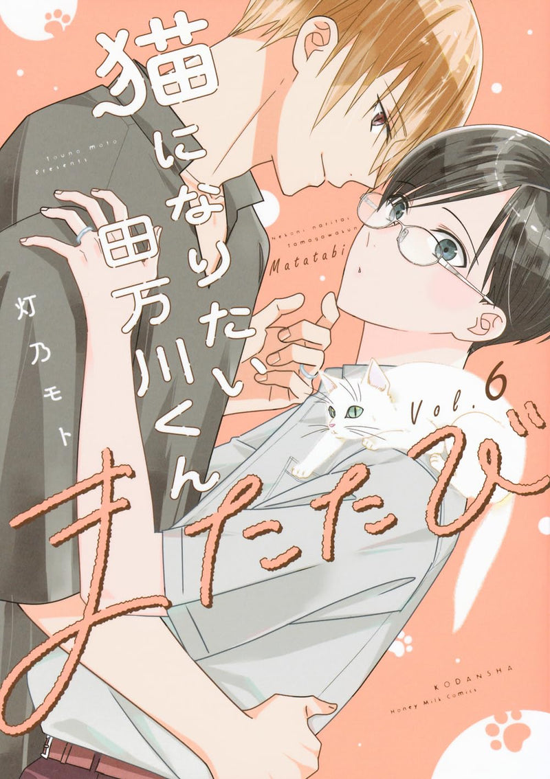 Neko ni Naritai Tamagawa-kun 6 Matatabi