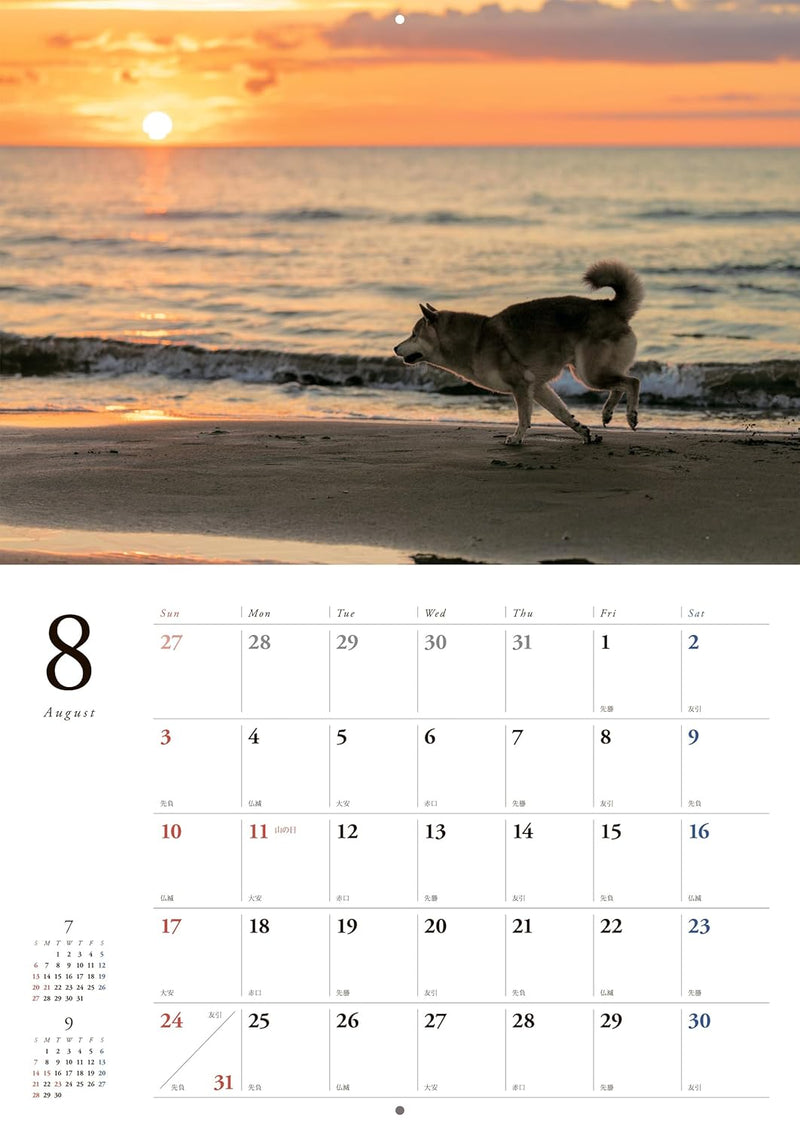 Japanese Shiba Inu Calendar 2025 (Wall Calendar)