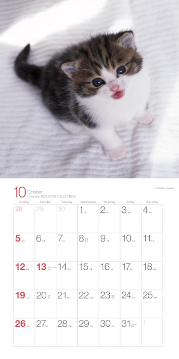 2025 Calendar Cats Collection