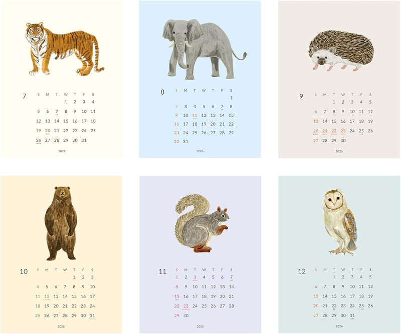 EL COMMUN MATOKA 2026 Wall Calendar Yule CAL-166