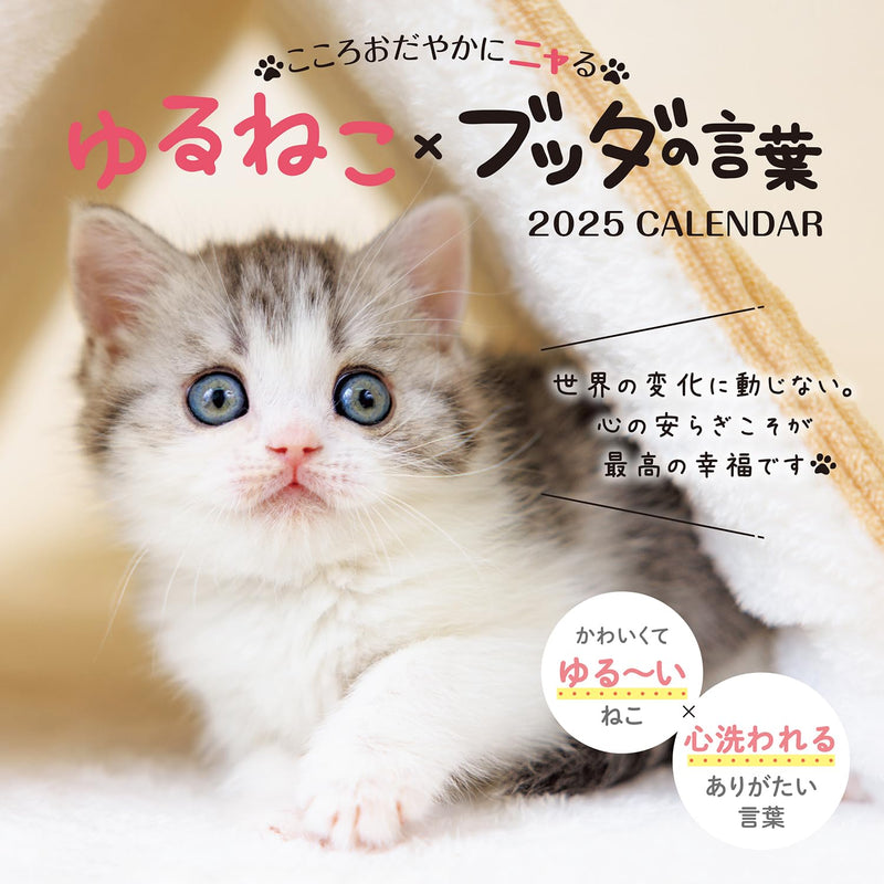 Calendar 2025 Kokoro Odayana ni Nayru Yuruneko x Buddha no Kotoba (Monthly/Wall Calendar) (Impress Calendar 2025)
