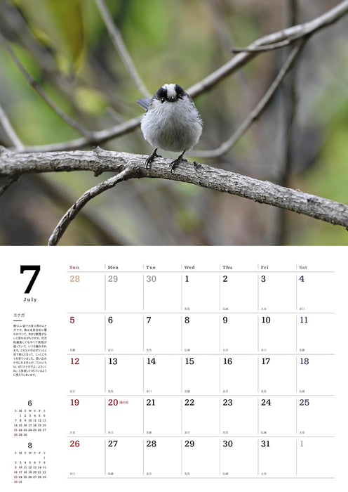 Common Wild Birds Calendar 2026 (Wall Hanging)