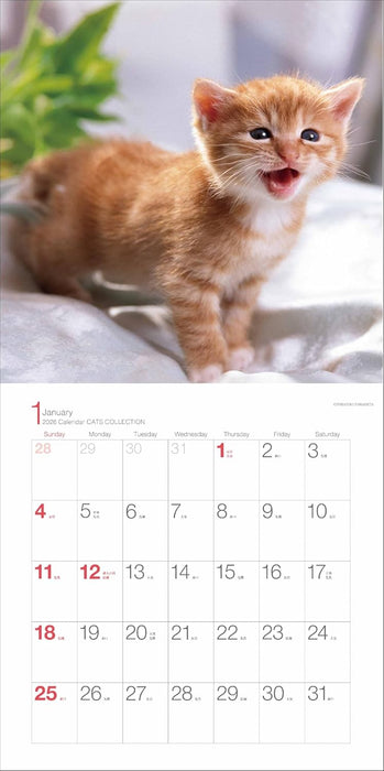 2026 Calendar Cats Collection