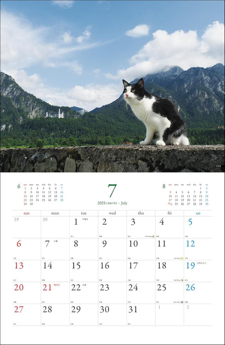 Mitsuaki Iwago World Cat Calendar 2025